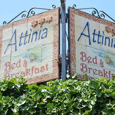 Attinia